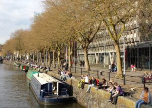 narrow-quay-trees