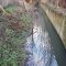 Malago River