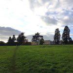 Ashton Court Mansion: August 2019 update