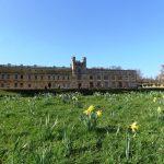 Ashton Court: March 2021 update
